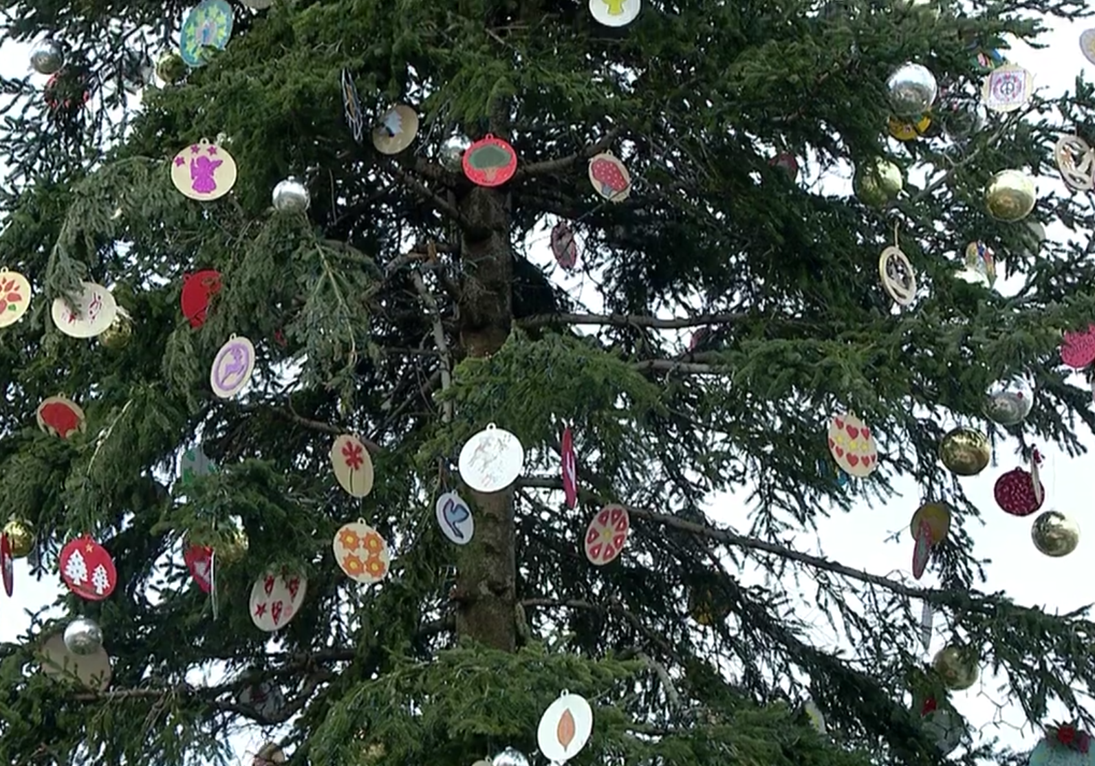 聖誕樹上的裝飾由孩子們繪製。（圖／截圖自@vaticannews）